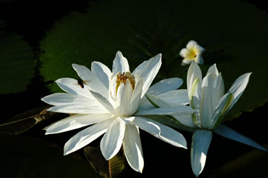 Z6·尊龙凯时「中国区」官方网站